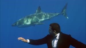 David Blaine swimming with sharks